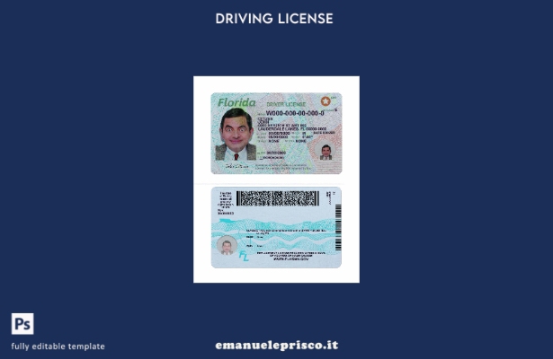 verified style modello presente patente di guida USA Florida stile verificato template